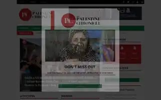 Palestinechronicle.com Screenshot 2024-06-15 17:13:18