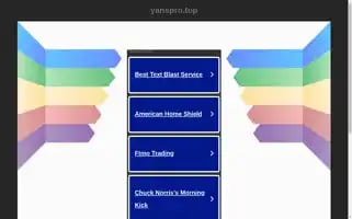 Yanspro.top Screenshot 2024-06-15 03:45:25