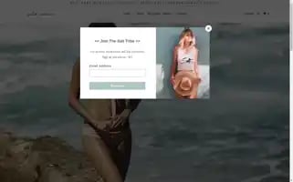 Saltswimwear.com Screenshot 2024-05-05 08:16:45