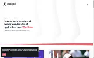 Octopix.be Screenshot 2024-06-14 12:17:20
