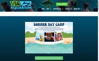 Viaaquarium.com Screenshot 2024-05-14 21:06:10