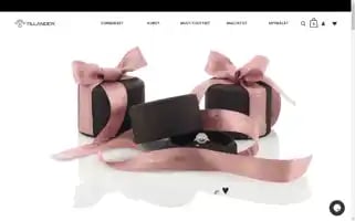Tillander.fi Screenshot 2024-06-12 13:46:32