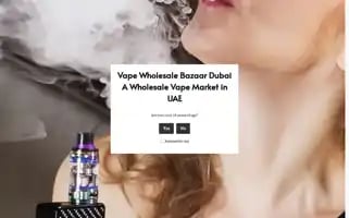 Vapewholesalebazaar.com Screenshot 2024-05-24 02:54:09