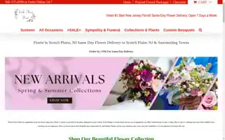 Scotchplainsflowershop.com Screenshot 2024-05-22 04:55:47