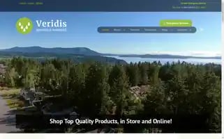 Veridisplumbing.com Screenshot 2024-06-18 03:36:42