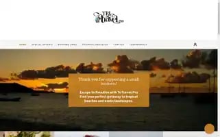 Tritravel.pro Screenshot 2024-04-16 10:33:04