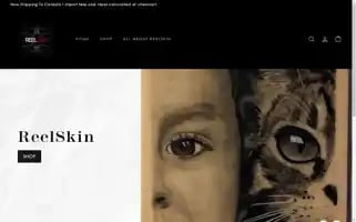 Reelskin.com Screenshot 2024-06-17 22:20:08