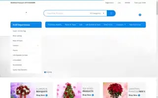 Thechristmasflowerdelivery.com Screenshot 2024-05-24 03:58:55