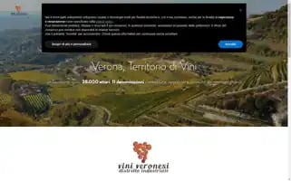 Diviniveronesi.it Screenshot 2024-06-30 08:59:05