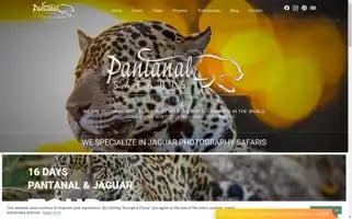 Pantanalsafaristour.com Screenshot 2024-04-24 05:58:39