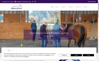 Forwardstride.org Screenshot 2024-06-12 02:08:52