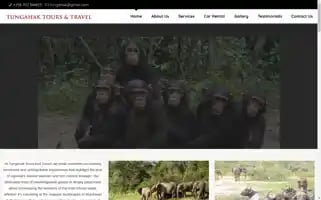 Tungahaktours.com Screenshot 2024-04-23 05:14:21