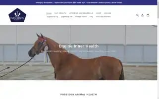 Equineinnerhealth.com Screenshot 2024-04-18 05:45:37