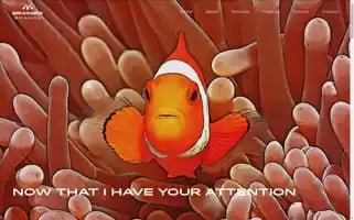 Brainierbrands.com Screenshot 2024-06-28 06:34:31