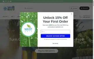 Washsafe.com Screenshot 2024-05-14 23:58:55