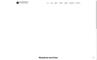 Blueberrystudios.es Screenshot 2024-07-02 00:54:32