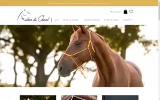 Autour-du-cheval.com Screenshot 2024-04-15 23:49:01