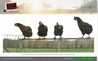 Elevagedesflambants.fr Screenshot 2024-05-21 22:22:39