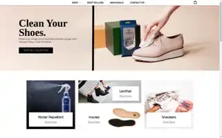 Waltersshoecare.com Screenshot 2024-05-05 00:04:02