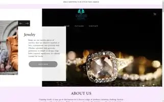 Coppinggoods.com Screenshot 2024-05-03 22:16:17