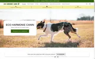 Ecoharmoniecanin.com Screenshot 2024-05-03 21:31:11