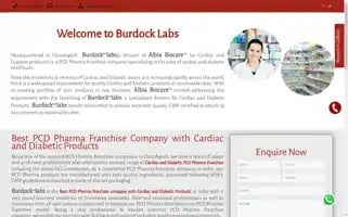 Burdocklabs.com Screenshot 2024-07-06 13:05:47