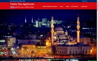 Turkeyvisaagents.com Screenshot 2024-06-27 11:30:32