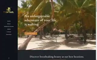 Tyson-travel.com Screenshot 2024-04-24 06:24:18