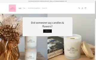 Omisdecor.com Screenshot 2024-04-14 21:24:45