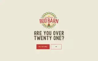 Vtbudbarn.com Screenshot 2024-07-05 03:51:24
