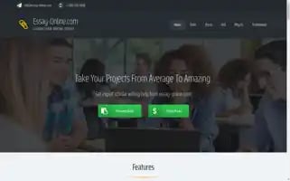 Essay-online.com Screenshot 2024-07-02 16:35:21