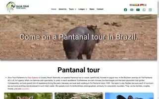 Silvatourpantanal.com Screenshot 2024-04-26 17:43:19