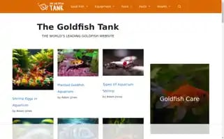 Thegoldfishtank.com Screenshot 2024-06-26 07:49:38