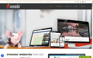 Cevado.com Screenshot 2024-06-13 02:45:22