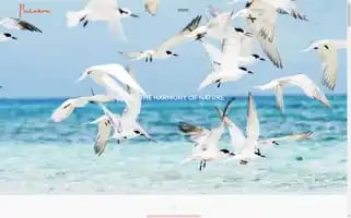 Pulchraresorts.com Screenshot 2024-06-27 09:59:43