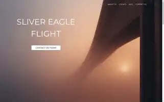 Silvereagleflight.com Screenshot 2024-04-15 13:40:09