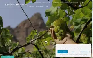 Bodegalosberrazales.com Screenshot 2024-06-11 22:21:33