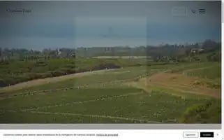 Cerrodeltoro.uy Screenshot 2024-07-04 19:31:35