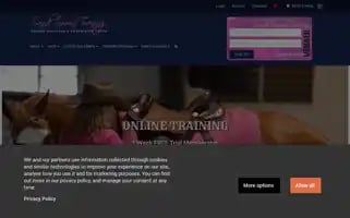Sandisimonstraining.com.au Screenshot 2024-05-19 05:11:51