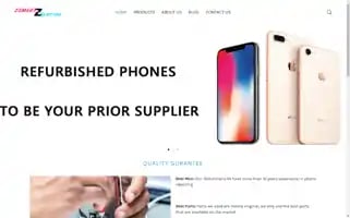 Zsmartb2b.com Screenshot 2024-05-17 06:53:57