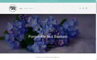 Fmnbaskets.com Screenshot 2024-05-05 13:38:33