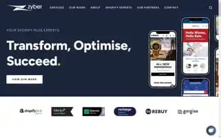 Zyber.co.nz Screenshot 2024-06-29 05:07:26