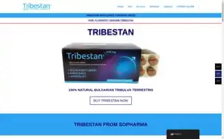 Tribestanoriginal.com Screenshot 2024-06-17 15:10:59