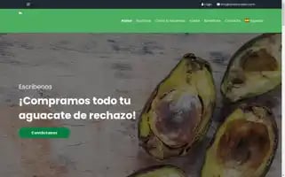 Onavocados.com Screenshot 2024-06-19 00:33:27