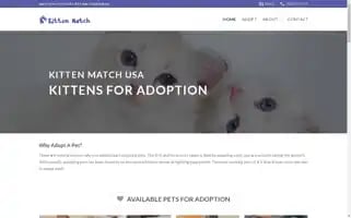 Kittenmatchusa.com Screenshot 2024-05-29 09:37:56