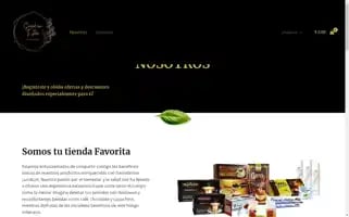 Saludconestiloge.com Screenshot 2024-05-28 21:52:35