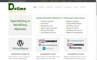 Delimewebsiteservices.com Screenshot 2024-07-05 05:40:13