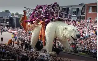 Corsozundert.nl Screenshot 2024-06-18 02:41:18