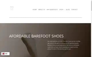 Basomis.com Screenshot 2024-05-22 03:53:57