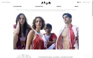 Paom.com Screenshot 2024-07-02 08:25:09
